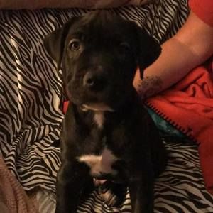 Meet your Posher, Tedd